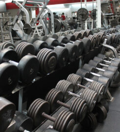 Olympia Muscle & Fitness